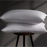 Luxury Goose Feather Down Pillow Standard Size Set of 2 Pack, 100% Cotton Hotel Collection Bed Pillows for Sleeping, Soft Support Fluffy Medium Firm Pillows for Side Back Stomach Sleepers 20" x 26"