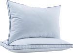 Feather Down Pillows Queen Size Set of 2, Luxury Goose Feather Pillow for Sleeping, Organic Cotton Cover Hotel Collection Bed Pillows