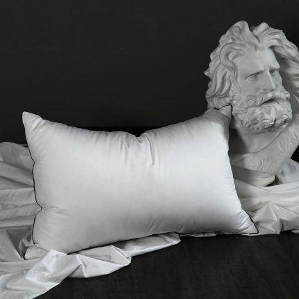 Premium White Down Fiber Pillows Queen Size - High Fill Power Down Fiber Pillow - Hotel Bed Pillows for Back,Side,Stomach Sleepers (2 Pack,20" x 28")