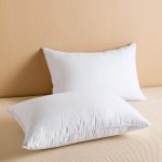 Feather Down Pillows Standard Size Set of 2, Luxury Soft Feather Pillows for Sleeping, Smooth Down-Proof Fabric, Hotel Collection Bed Pillows Surround Fill Polyester (White, 20"x26")